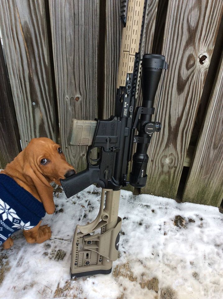 15972401_10209341944598385_1840301111086755501_o